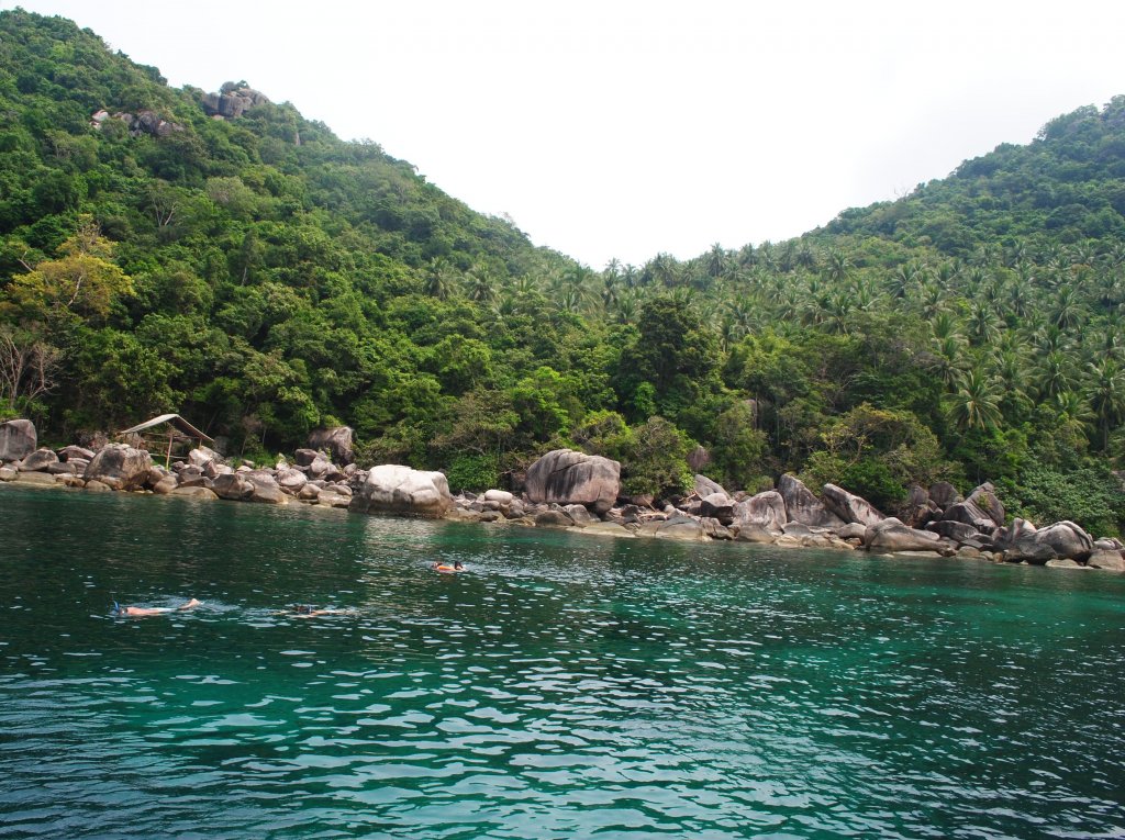 DSC_0228.JPG