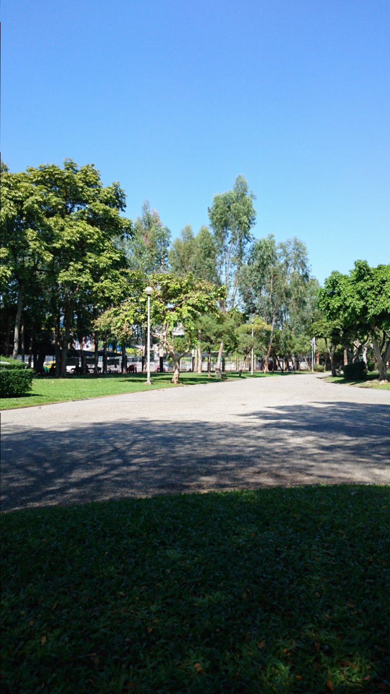 DSC_0245.JPG