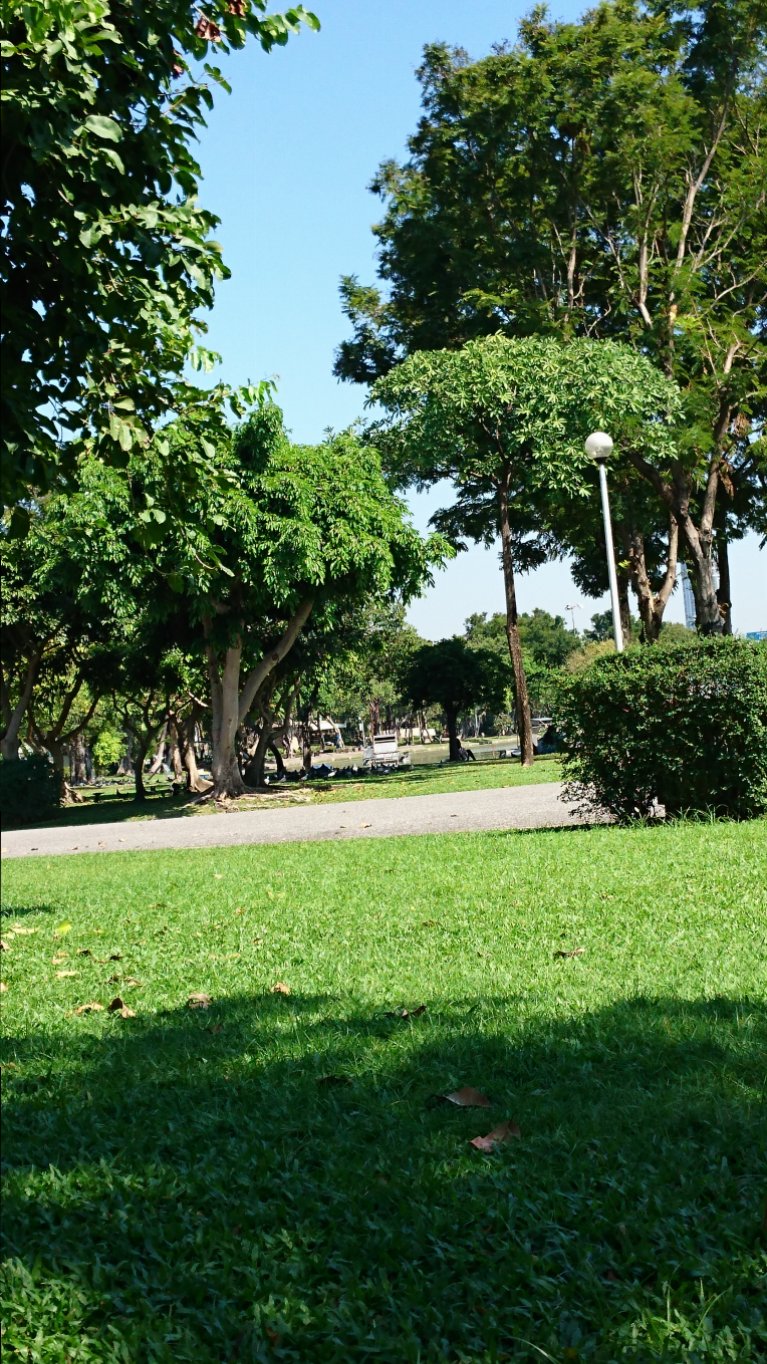 DSC_0247.JPG