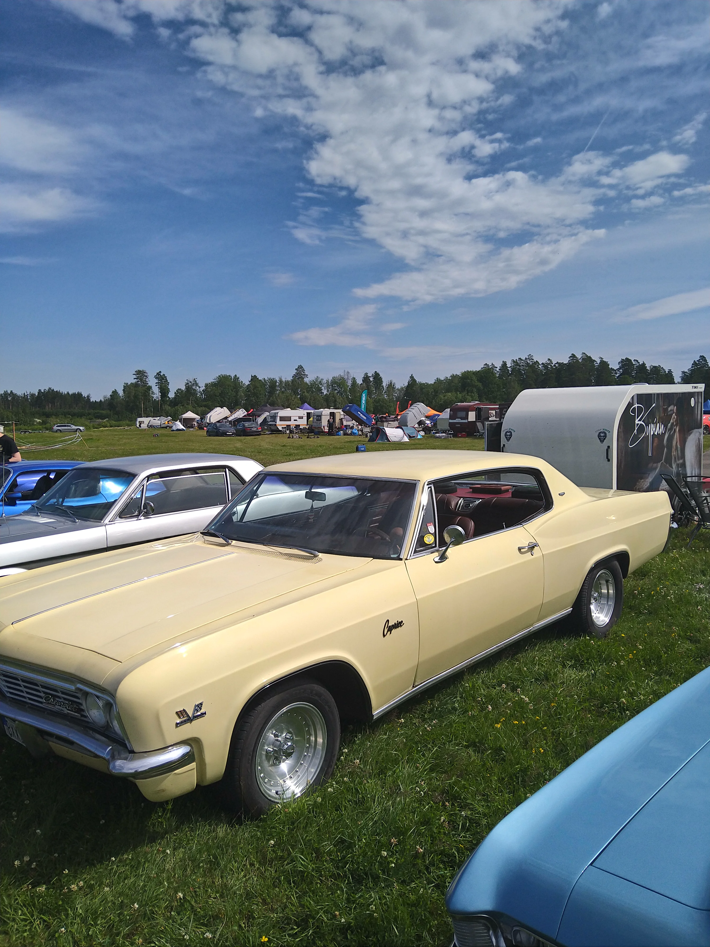 DSC_0258.webp