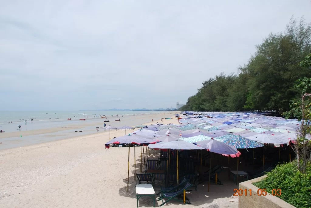 DSC_0789.webp