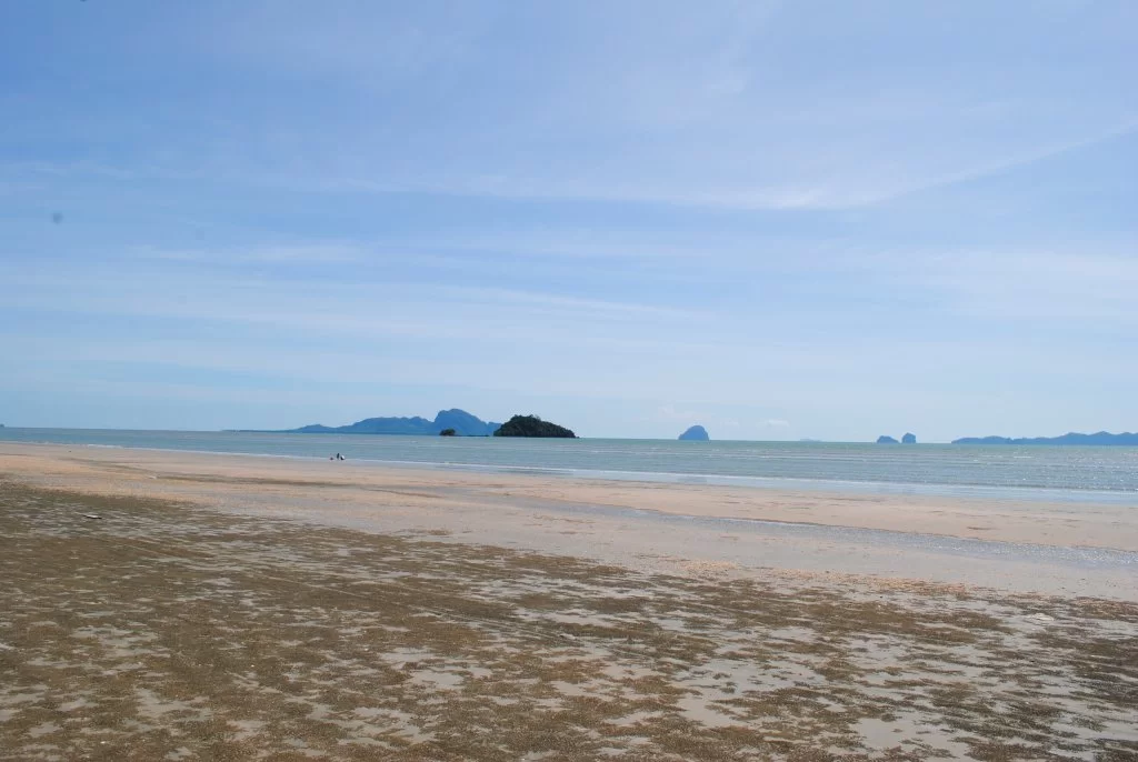 DSC_1988.webp