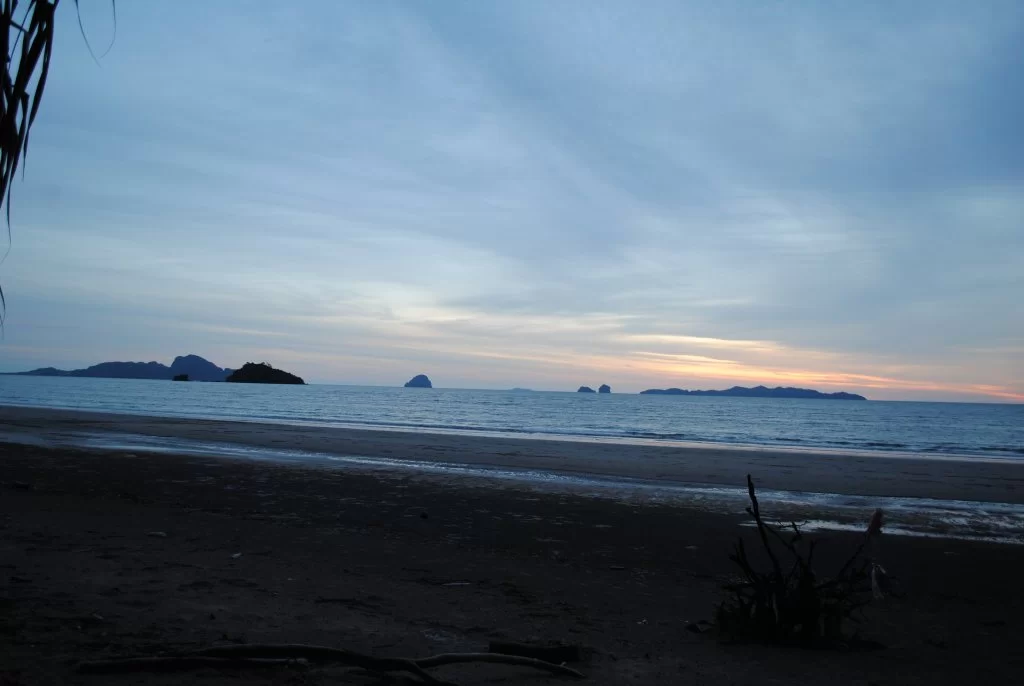 DSC_2015.webp