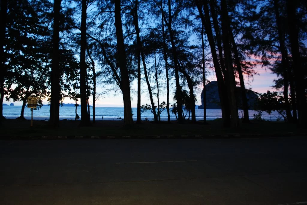 DSC_2021.webp