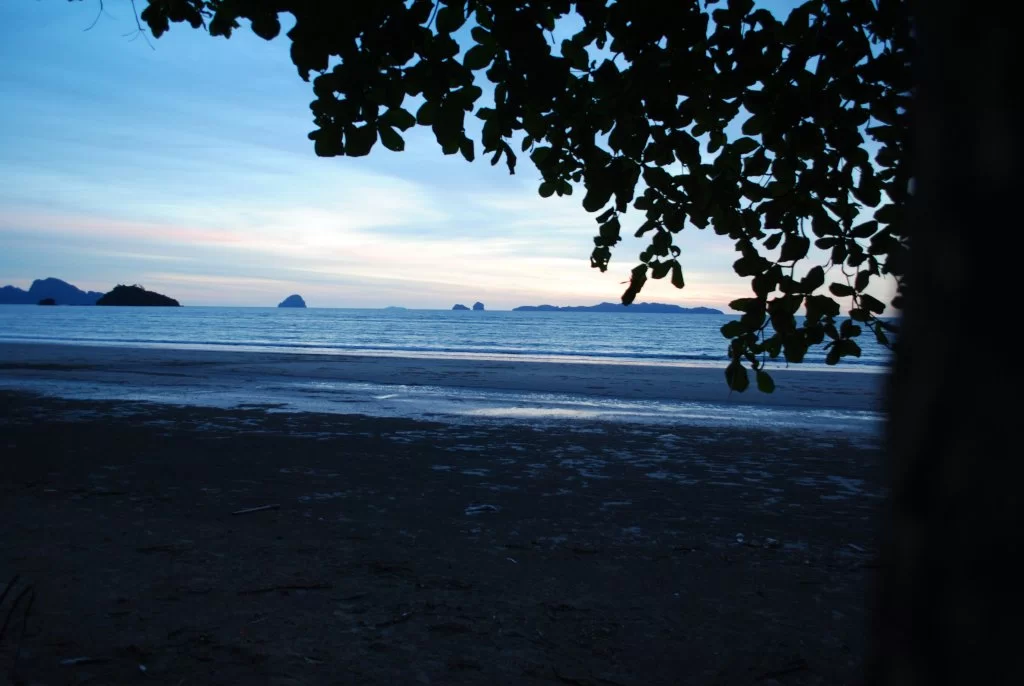DSC_2025.webp