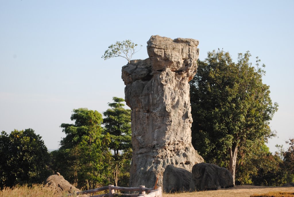 DSC_2399.JPG