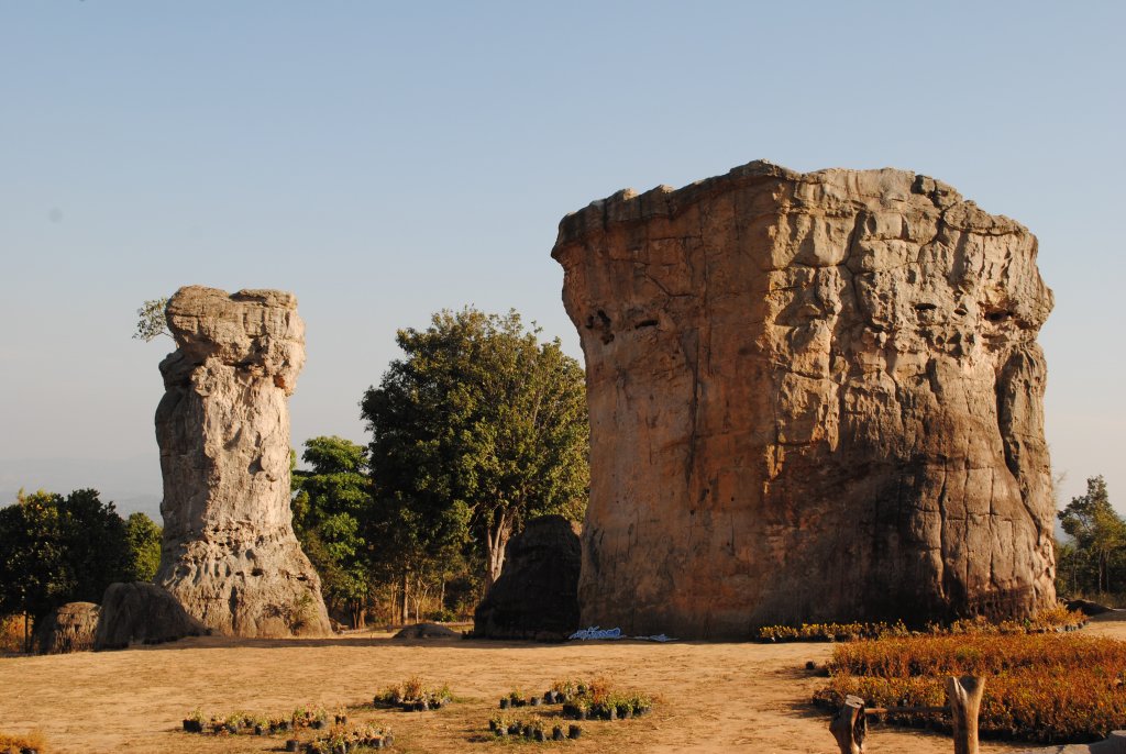 DSC_2401.JPG