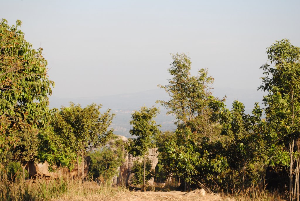 DSC_2417.JPG
