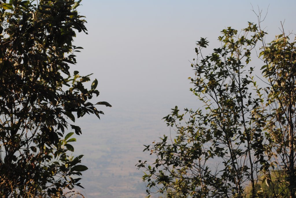 DSC_2426.JPG
