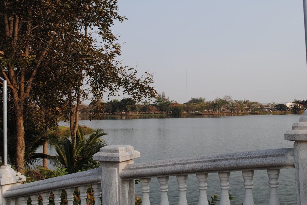DSC_2492.JPG
