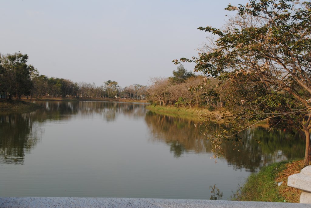 DSC_2493.JPG