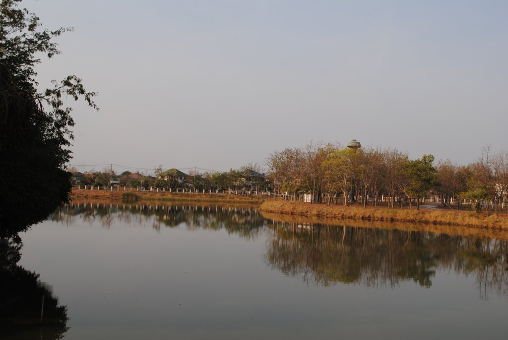 DSC_2498.JPG