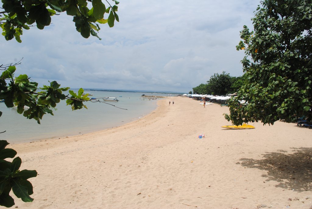 DSC_2548.JPG