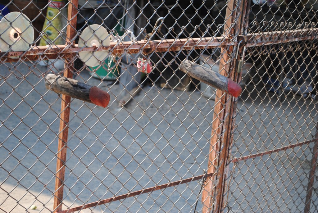 DSC_3930.JPG