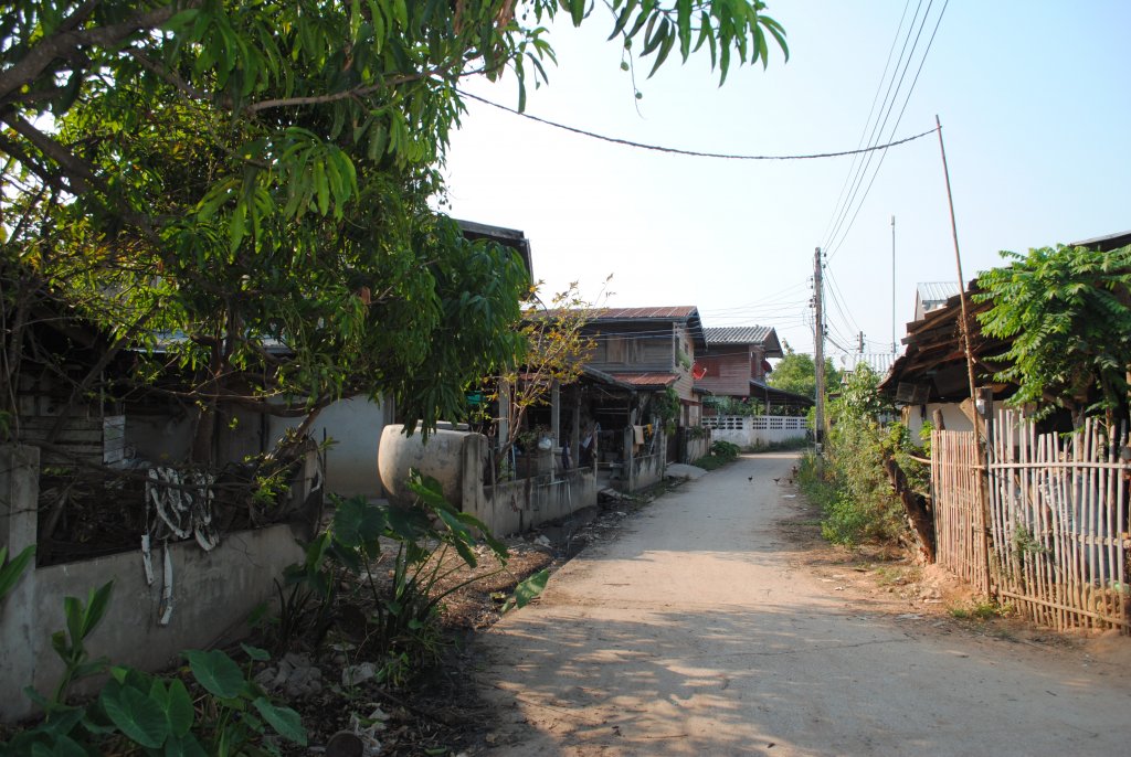 DSC_3940.JPG
