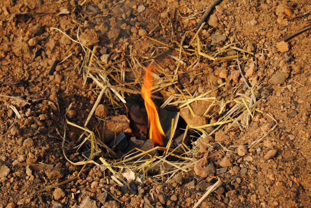 DSC_4308.JPG