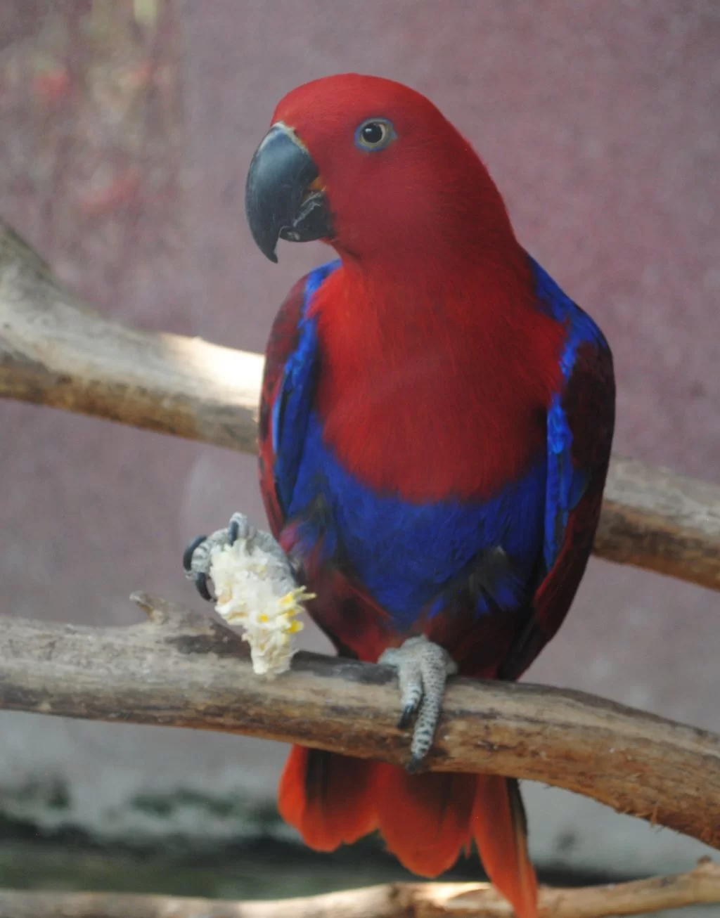 DSC_4650.webp