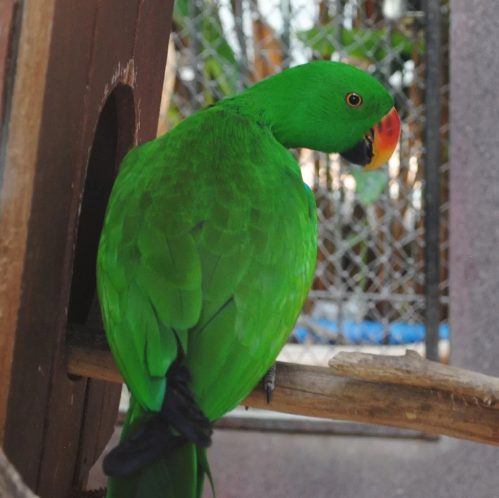 DSC_4653.webp