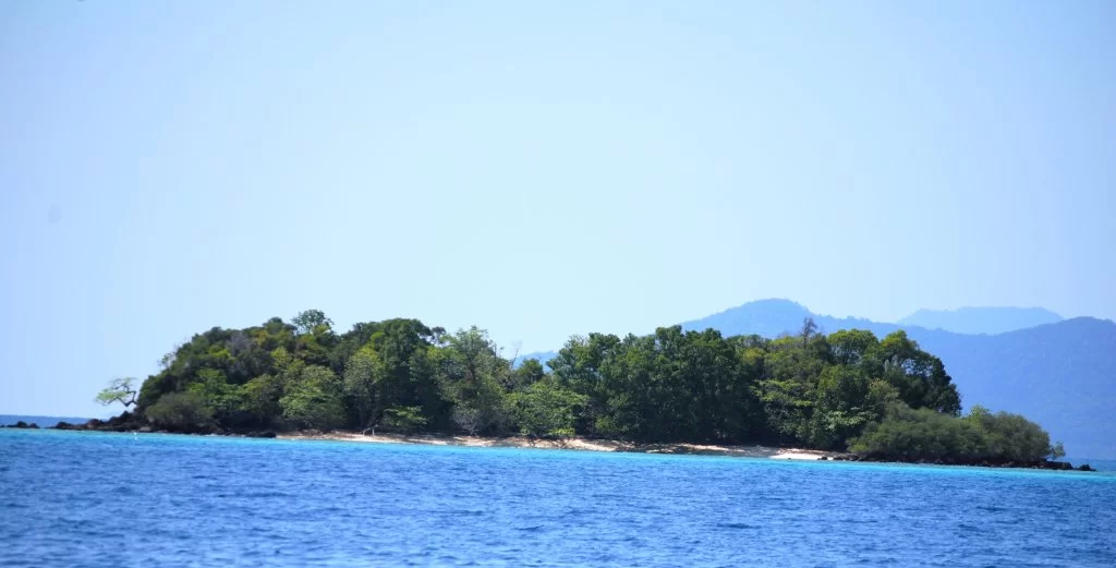 DSC_6371.webp