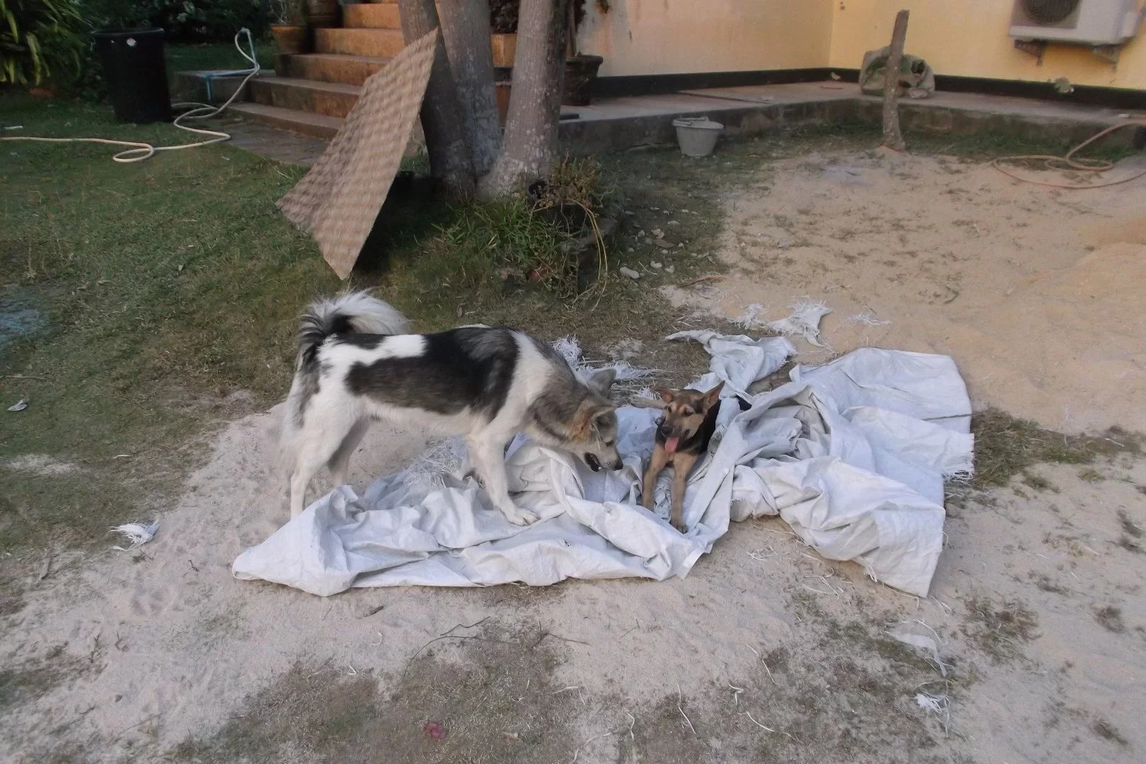 DSCF1903.webp