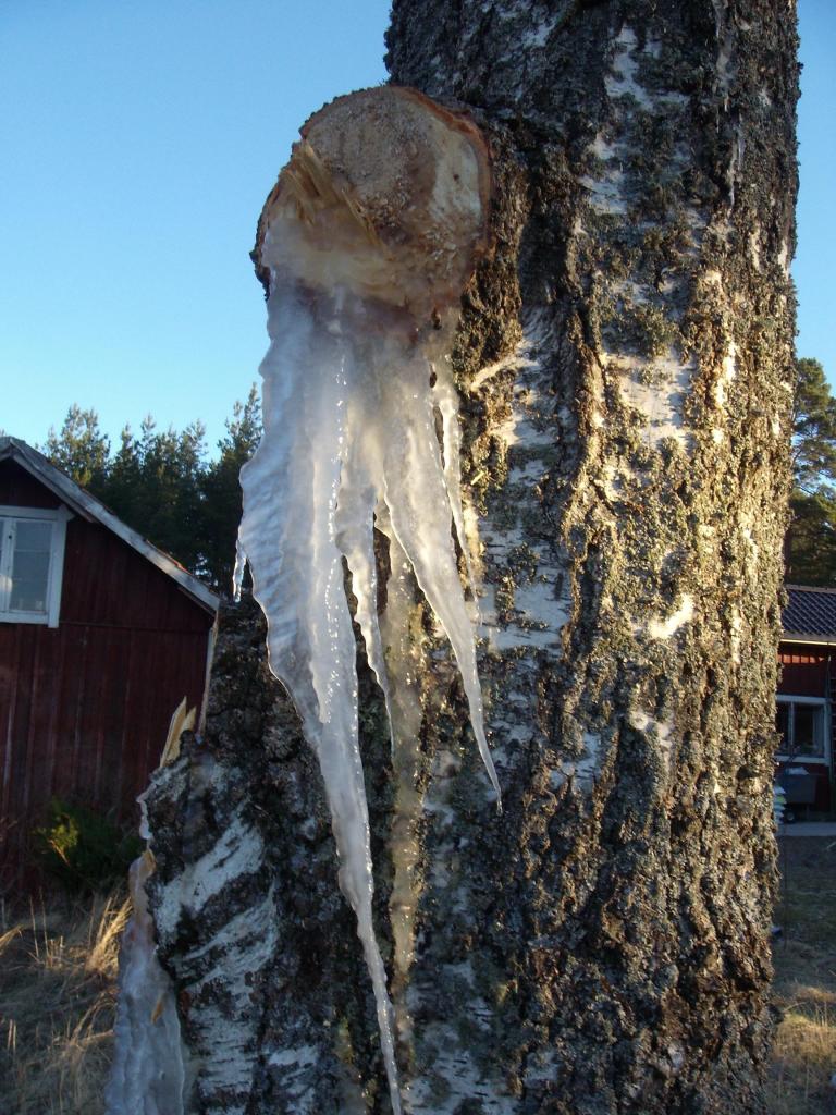 DSCN0094.jpg