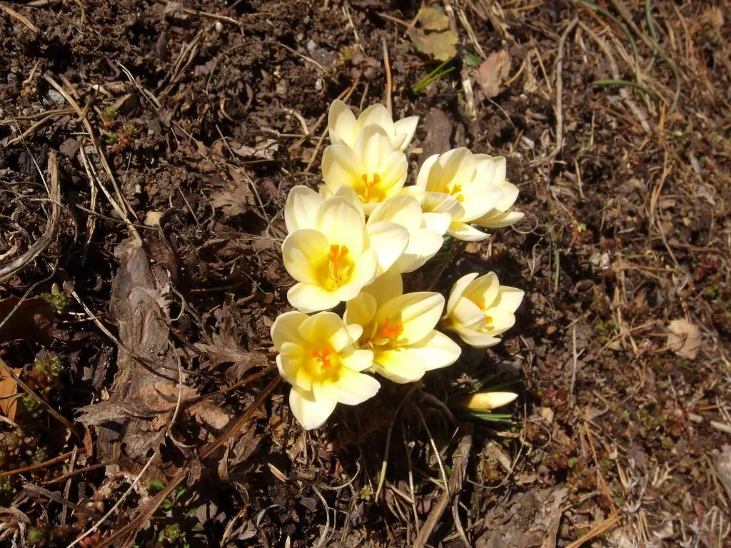 DSCN0140.webp