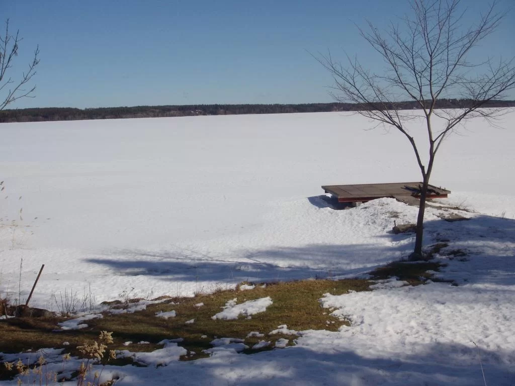 DSCN0141.webp