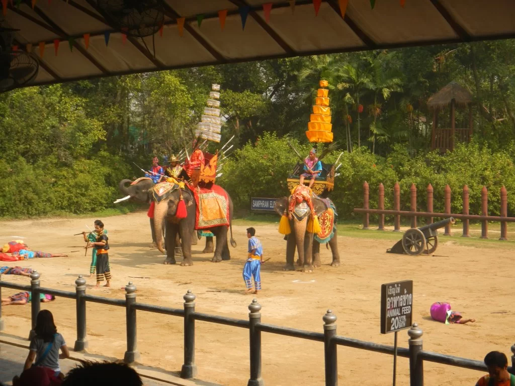 DSCN0193.webp