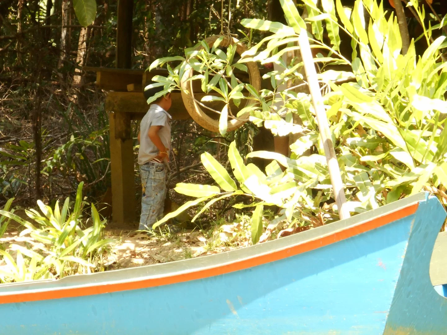 DSCN0313.webp