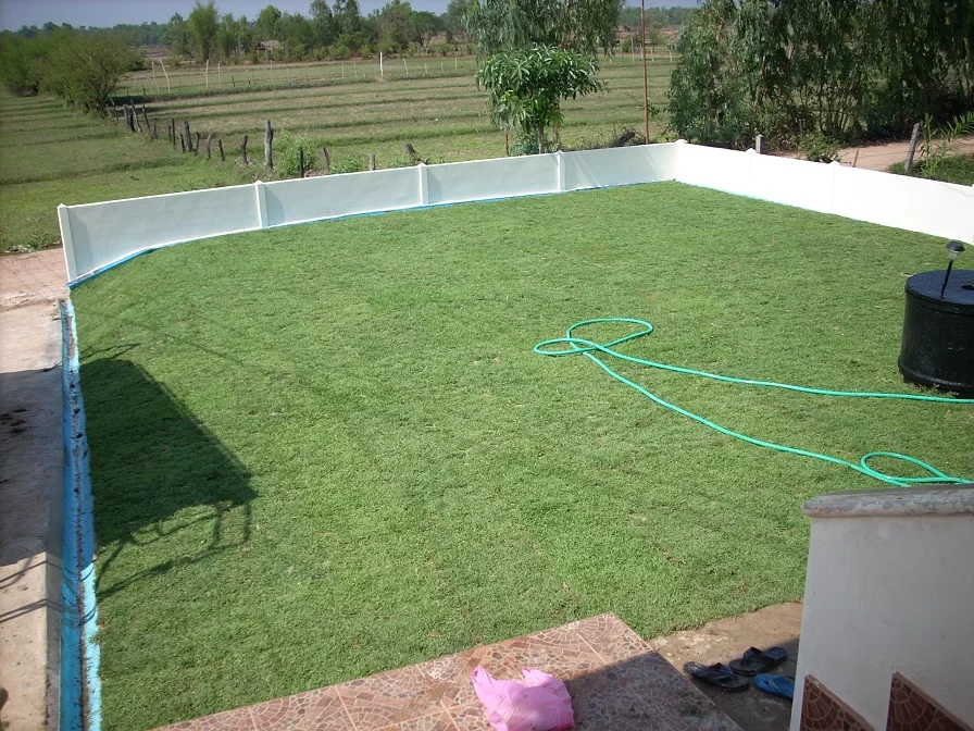DSCN0329.webp