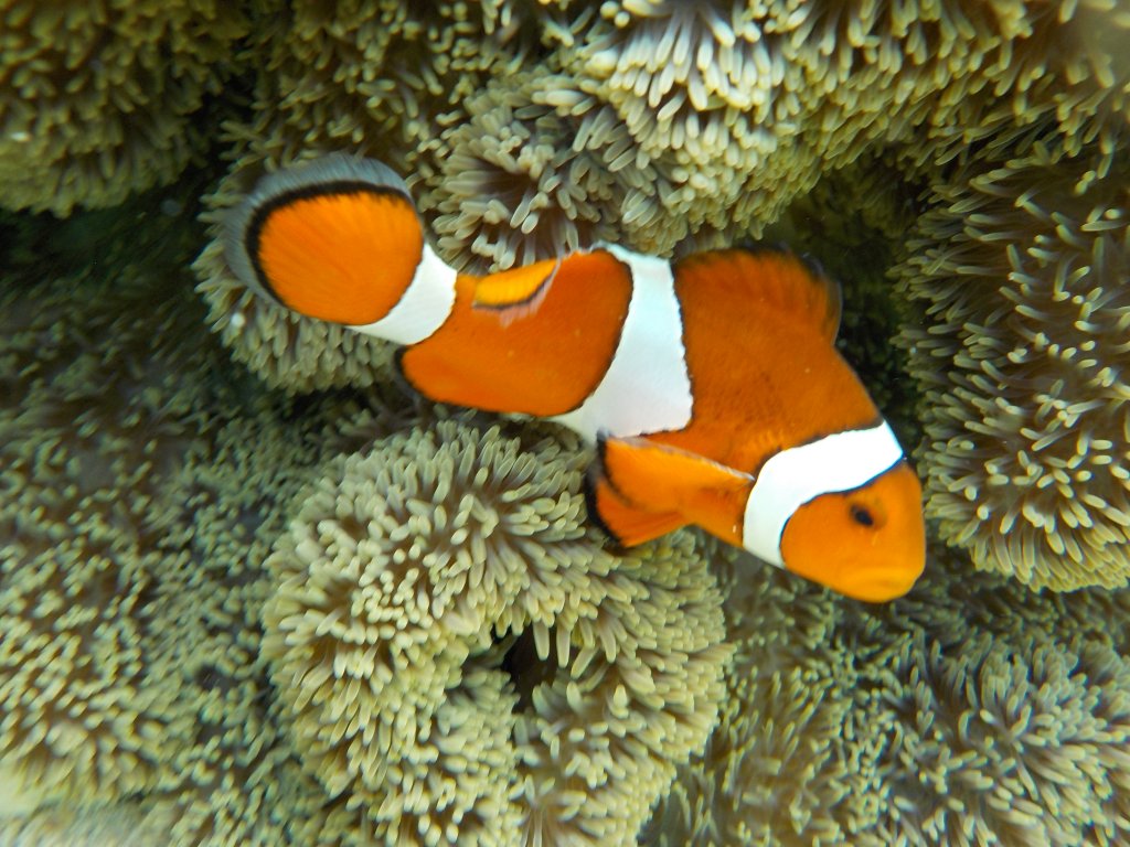 DSCN0350.JPG