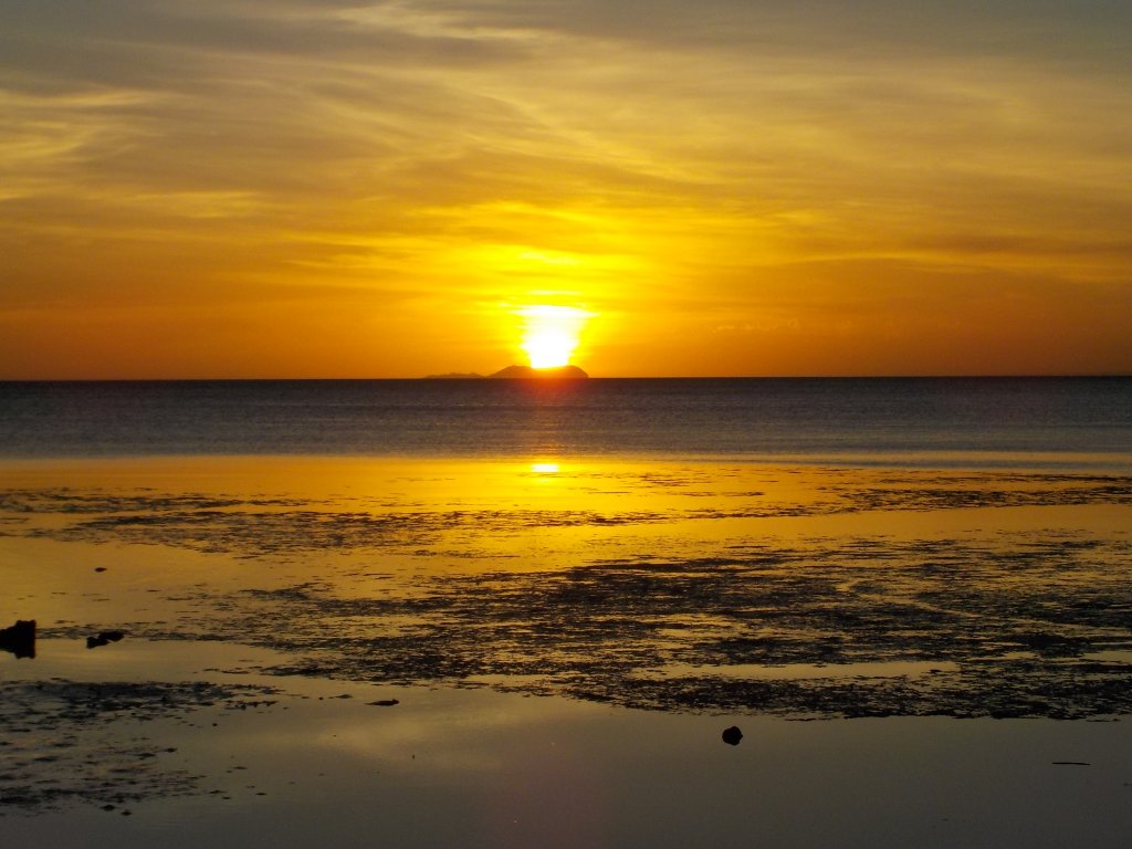 DSCN0478.JPG