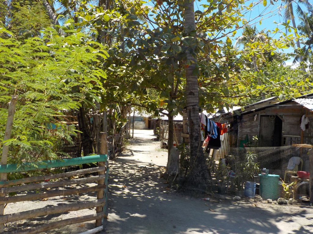 DSCN1260.JPG