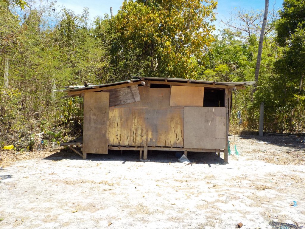 DSCN1285.JPG