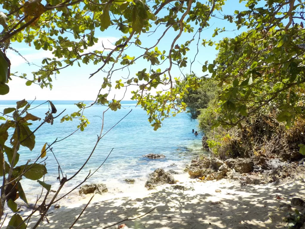 DSCN1301.webp