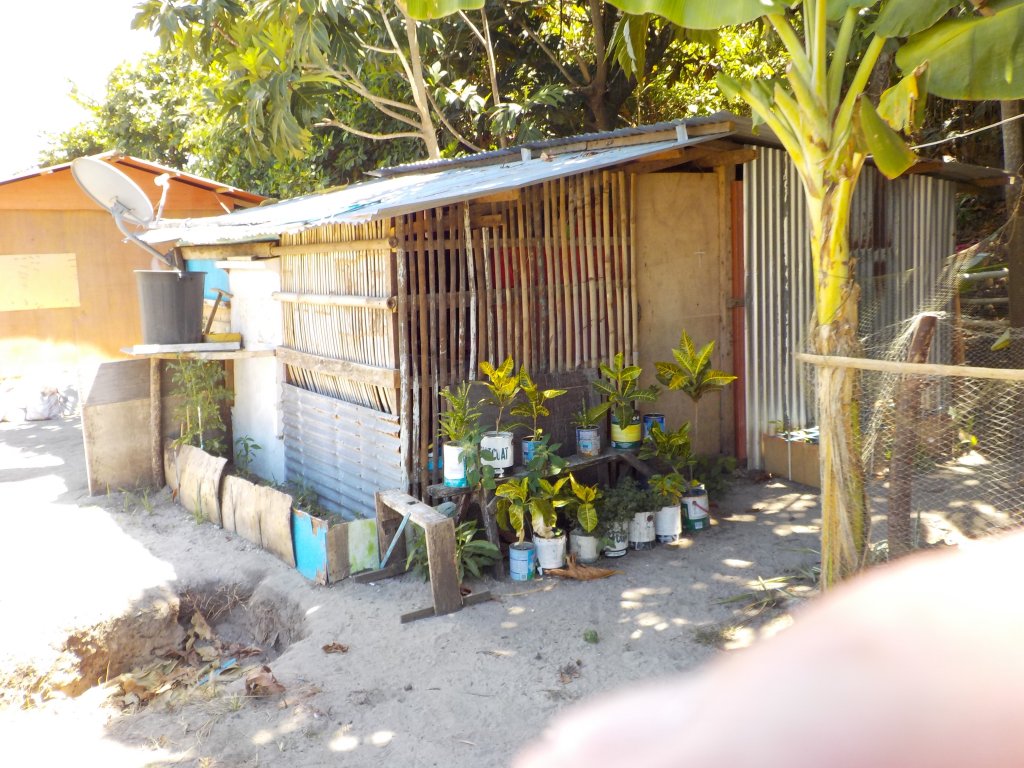 DSCN1310.JPG