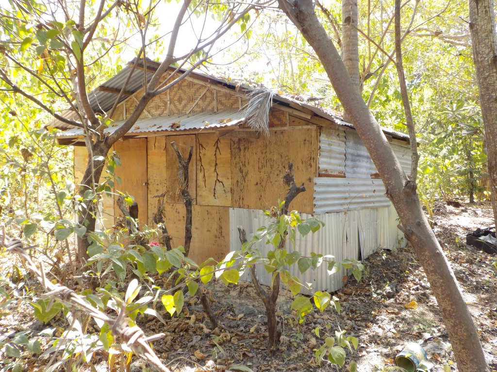 DSCN1317.JPG