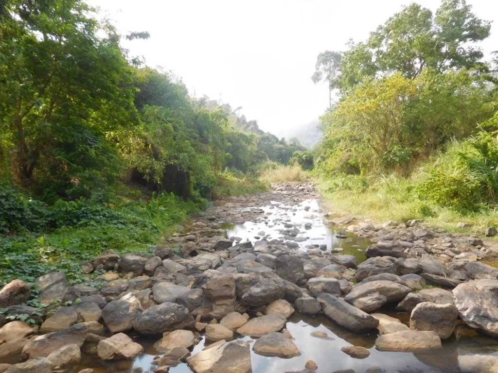 DSCN2825.webp