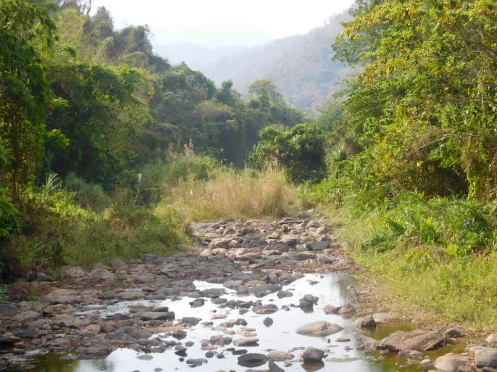 DSCN2826.webp