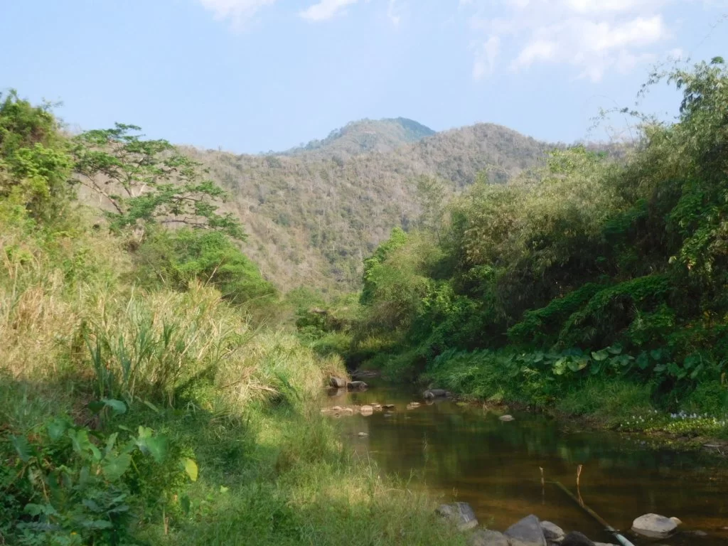 DSCN2831.webp