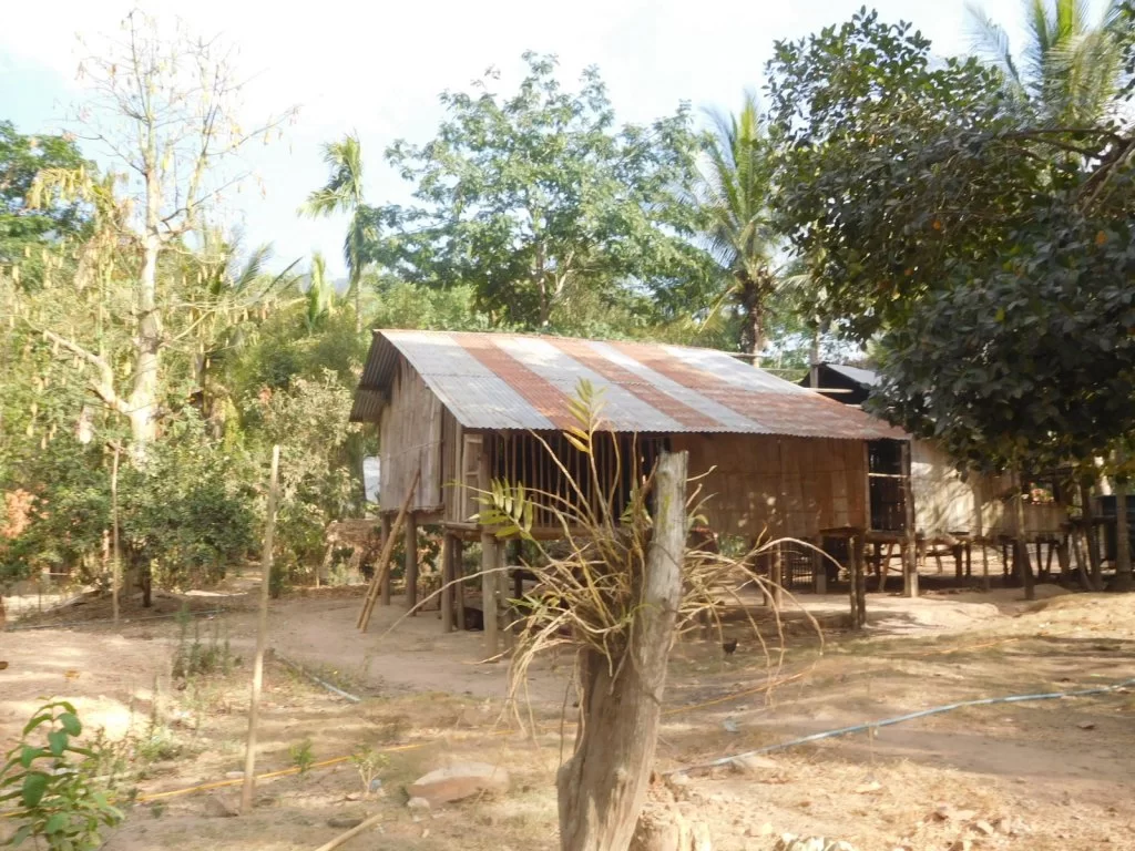 DSCN2845.webp