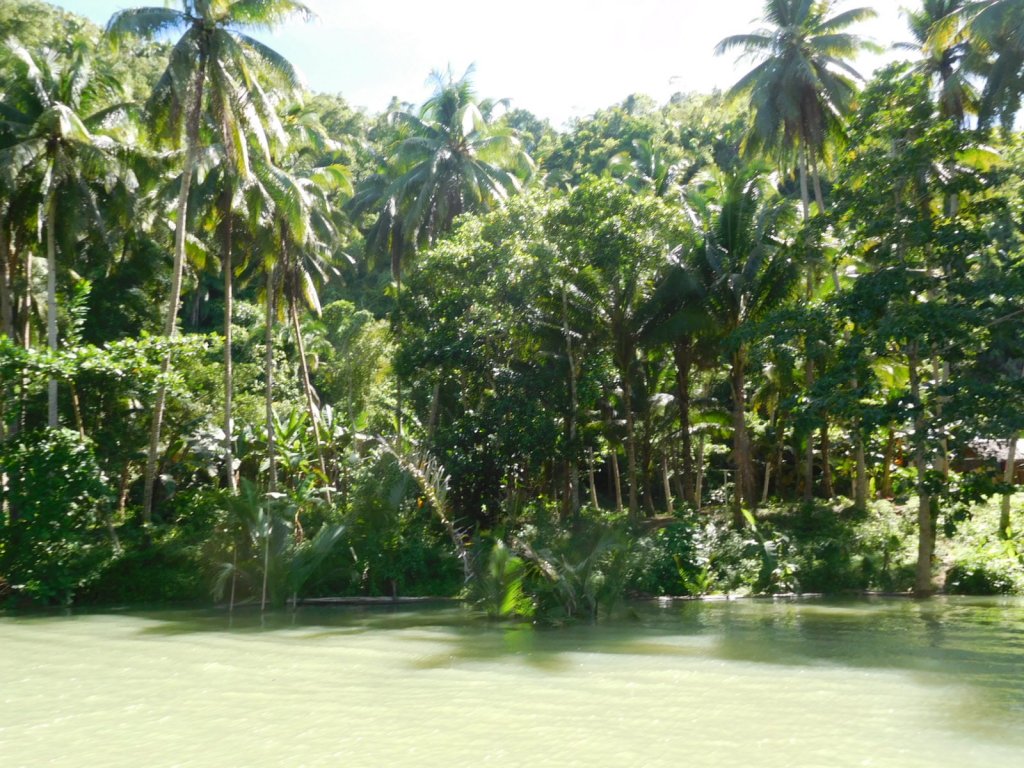 DSCN2911.JPG