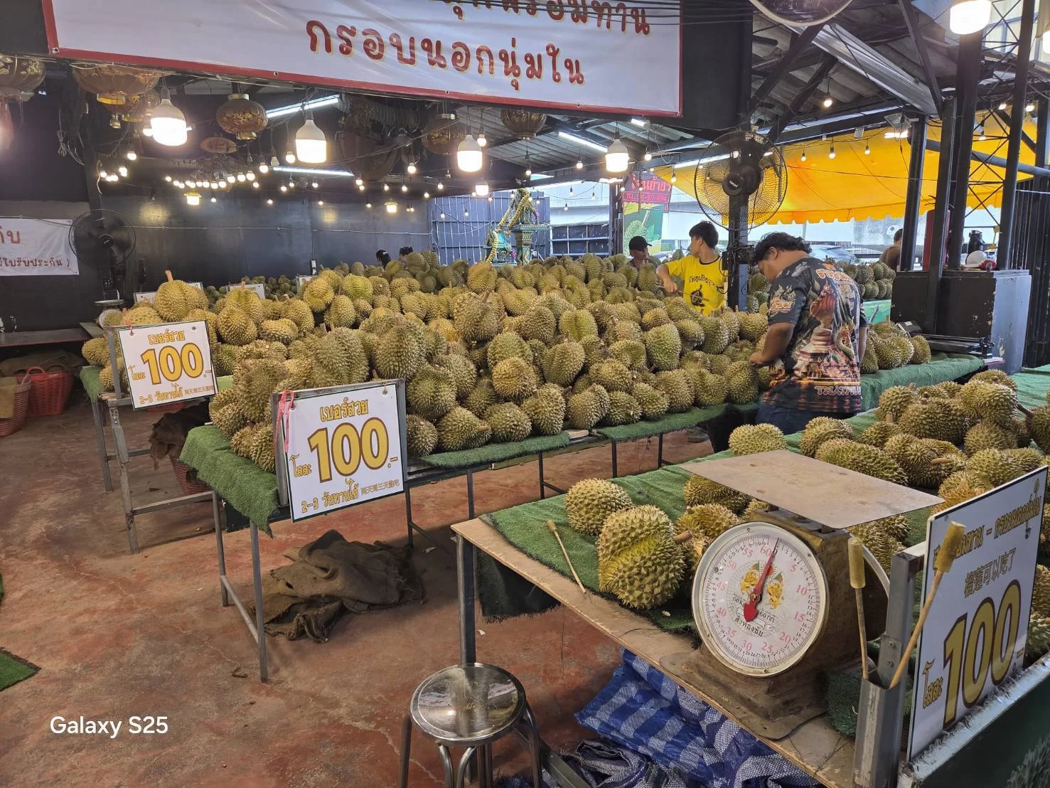 Durian.webp