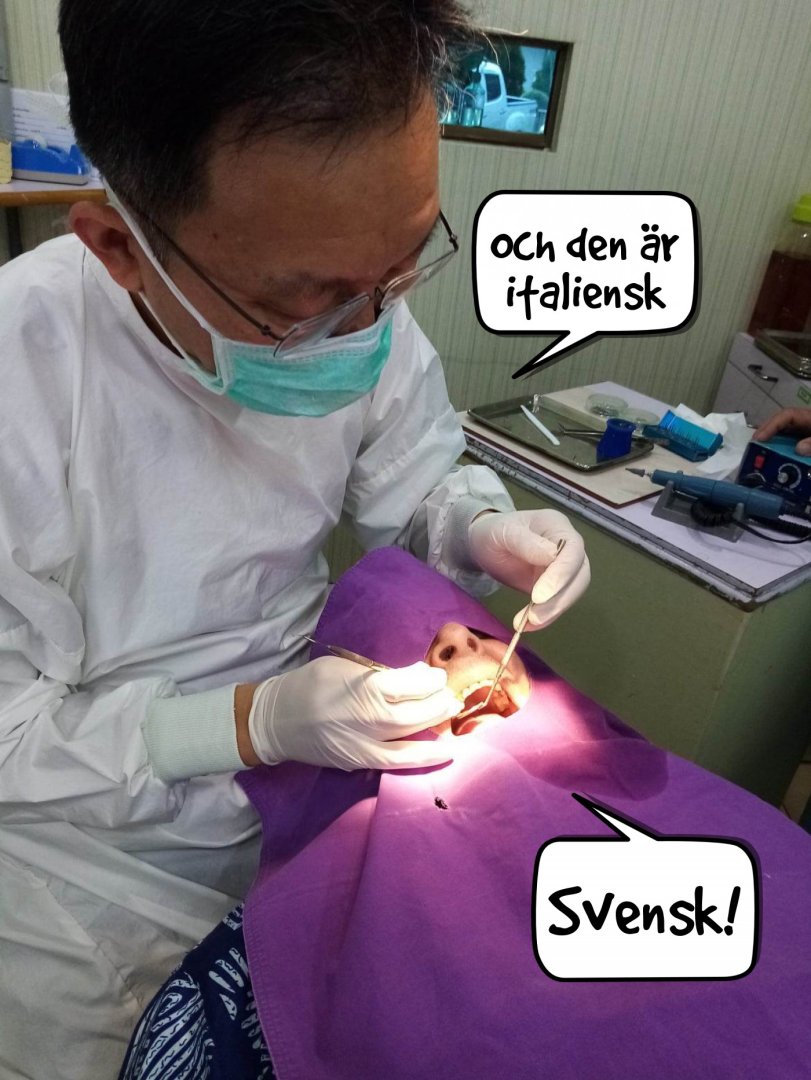 edihgp.jpg