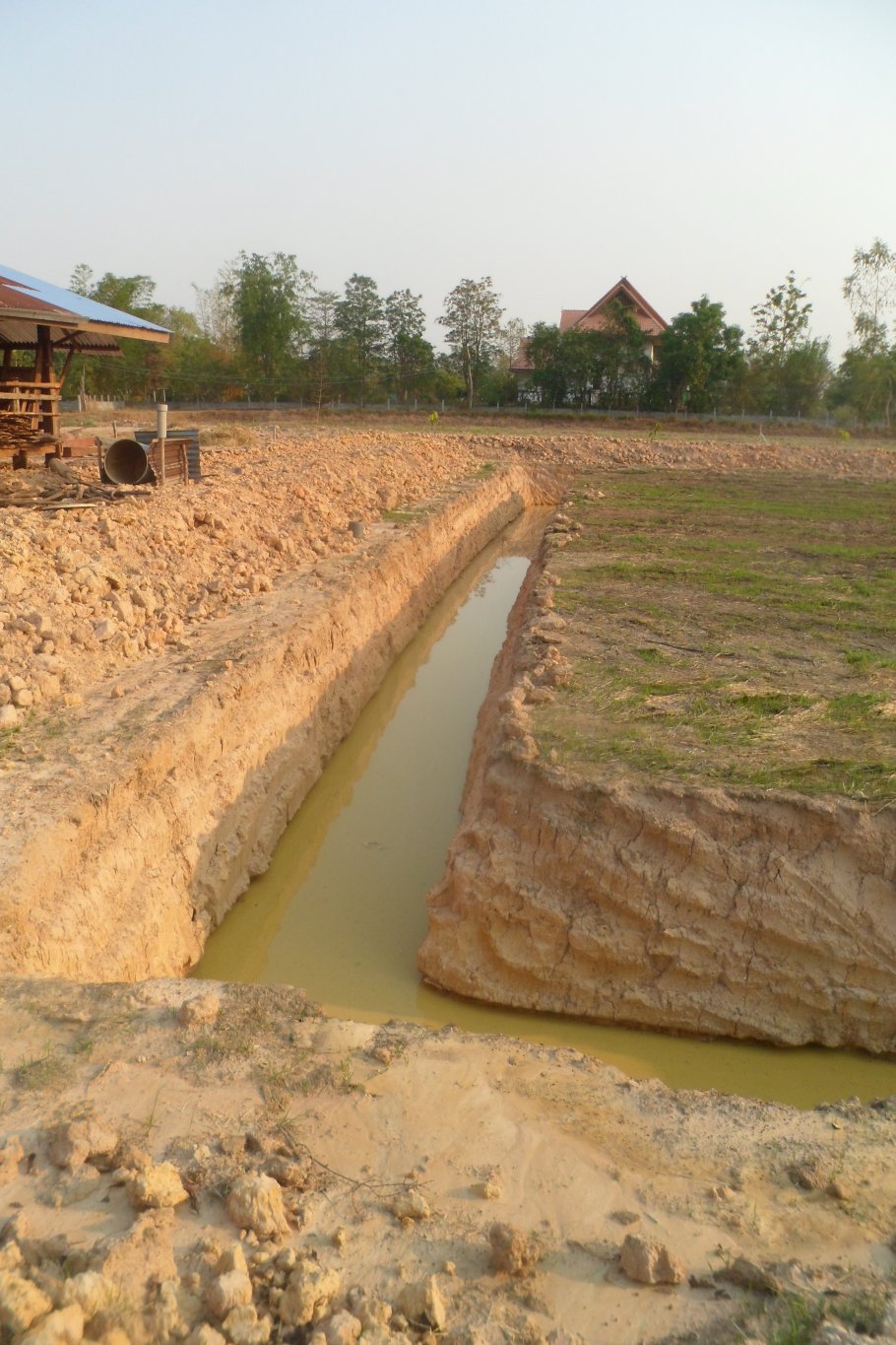 Farm 2 rai 027.JPG