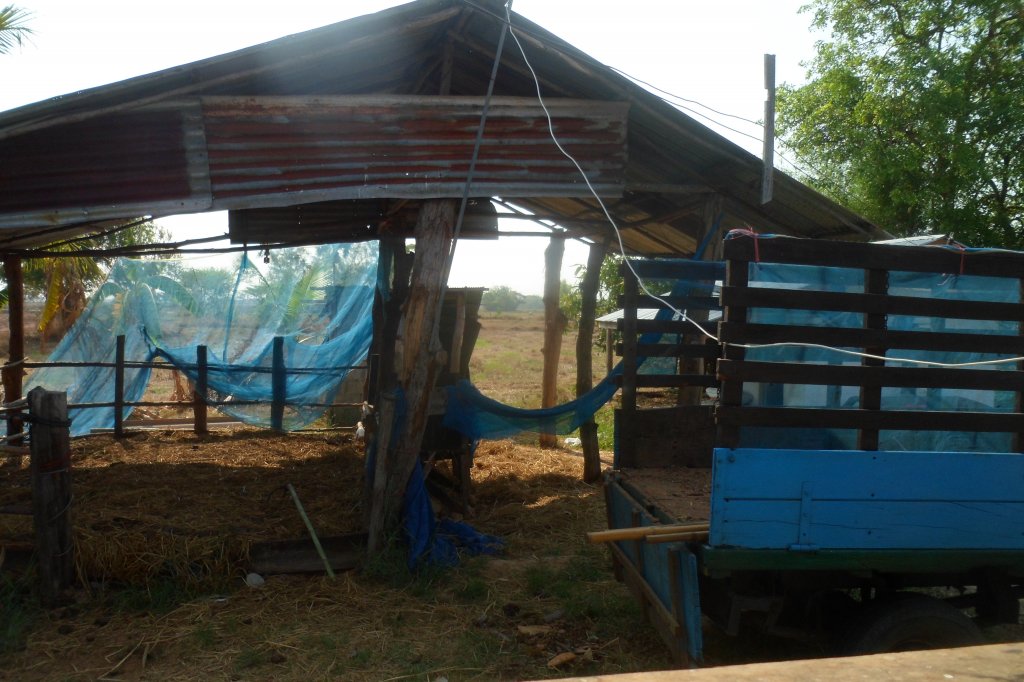 Farm 2 rai 081.JPG
