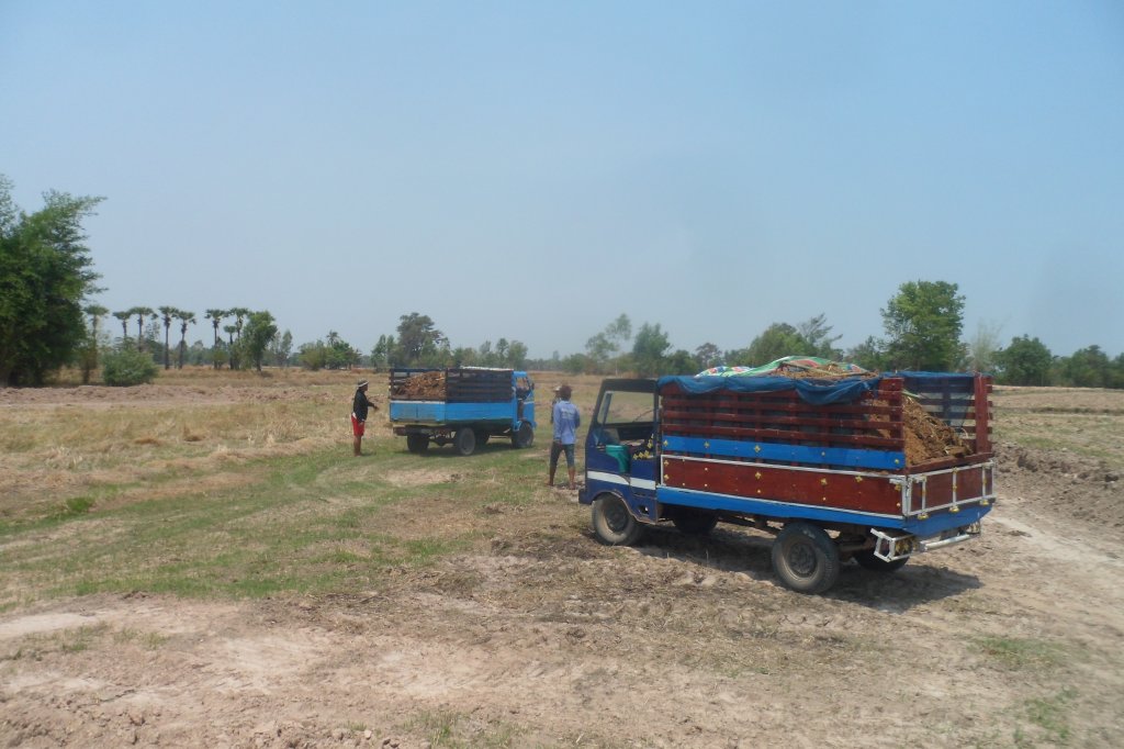 Farm 2 rai 084.JPG