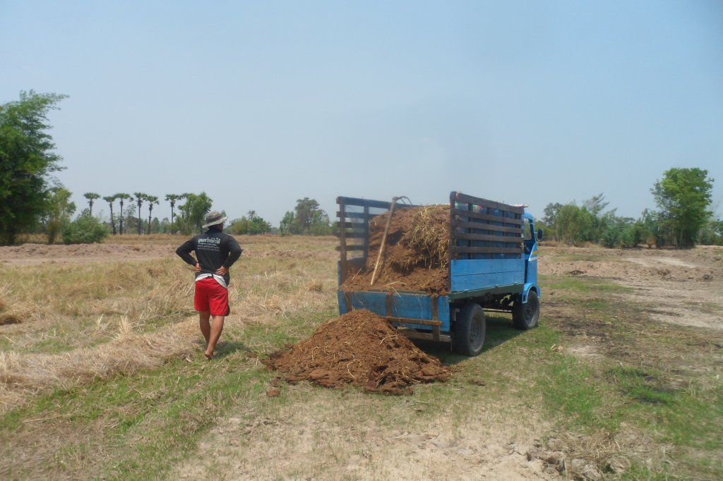 Farm 2 rai 086.JPG