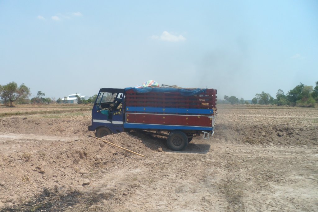 Farm 2 rai 087.JPG