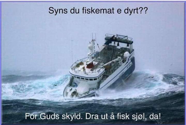 FB_IMG_1540741701958.jpg